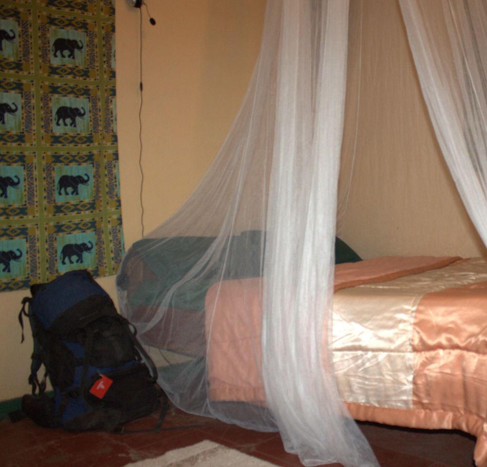 מלון ליבינגסטון Zinga Backpackers מראה חיצוני תמונה